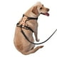 thumbnail image 2 of Balery Hot Dog 2 Arnés para Perros Grandes Antitirones, Arnés con Correa para Gato, Arnés Tipo Chaleco para Perros Pequeños-Small, 2 of 6