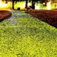 thumbnail image 5 of Resplandor Piedras luminosas Decoración Grava Peces Guijarros Adoquines Tanque Rocas fluorescentes oscuras para jardín Acuario Patio trasero Boda al Amarillo Macarena Piedras luminosas, 5 of 7