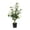 White, variant on 23.6" Artificial Camellia Tree Potted Plant Faux Silk Rose Flower for Living Room Home Decor Flowers Fake Fall Tree Decorations, Floral Centerpiece Indoor Display, Red