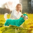thumbnail image 7 of Dinosaur Dog Halloween Costume Pet Hoodie for Small Medium Dogs Cats Halloween Cosplay Apparel Accessories, 7 of 7