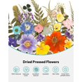 thumbnail image 4 of Kit de 100 flores prensadas Dried Flowers Resiners, 4 of 9