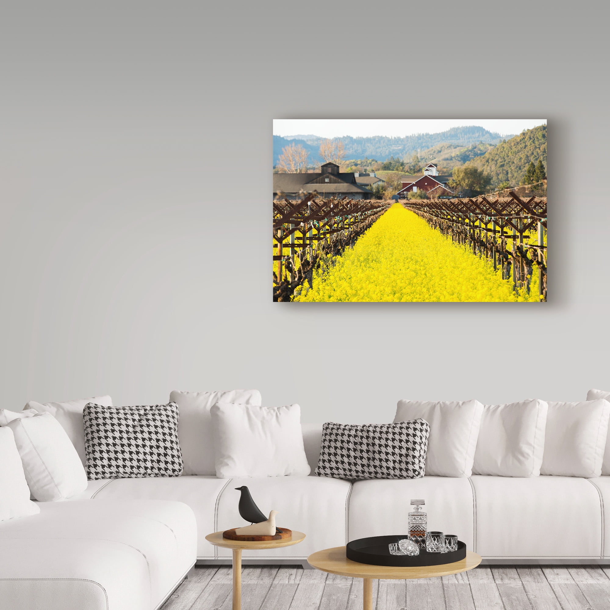 Trademark Fine Art 'Napa Valley In Winter' Canvas Art by Lance Kuehne