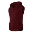 thumbnail image 4 of Daolelai Men's Hooded Zippered Sleeveless Sports Vest, 4 of 6