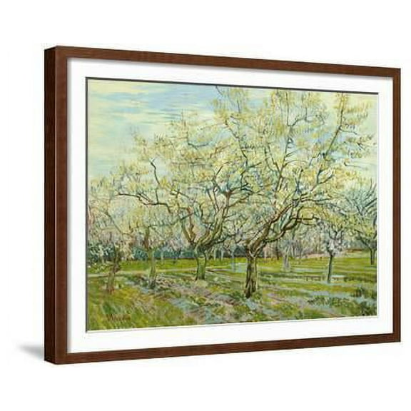 The White Orchard, 1888, Botanical Scenic Seasons Framed Art Print Wall Art by Vincent van Gogh Sold by Art.Com