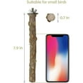 thumbnail image 6 of Natural Wood Bird Perch Stand for Parrots, Parakeets and Other Small Birds, Non - Slip and Easy to Install, 6 of 9