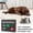 D, variant on Dog Feeding Reminder, Magnetic Refrigerator Sticker, AM/PM Pet Feeding Tracker with "Yes/No" Sliders, Funny Fridge Sign for Home Office Travel Indoor Outdoor