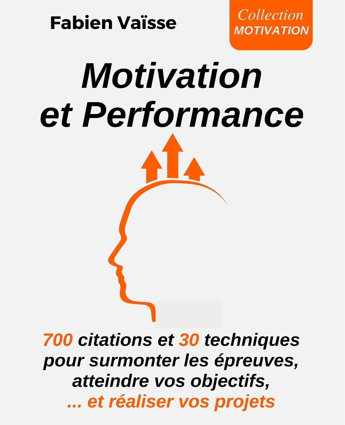 Developpement Personnel Motivation Et Performance 700 Citations Et 30 Techniques Pour Surmonter Les Epreuves Atteindre Vos Objectifs Et Realiser Vos Projets Series 1 Paperback Walmart Com