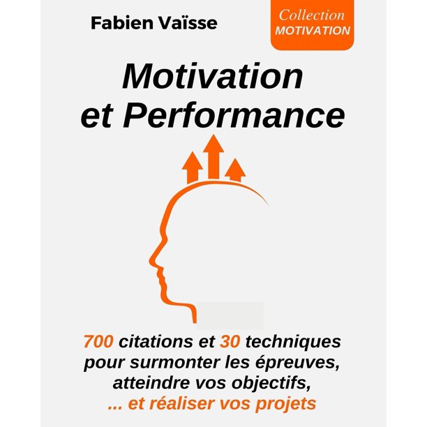 Developpement Personnel Motivation Et Performance 700 Citations Et 30 Techniques Pour Surmonter Les Epreuves Atteindre Vos Objectifs Et Realiser Vos Projets Series 1 Paperback Walmart Com
