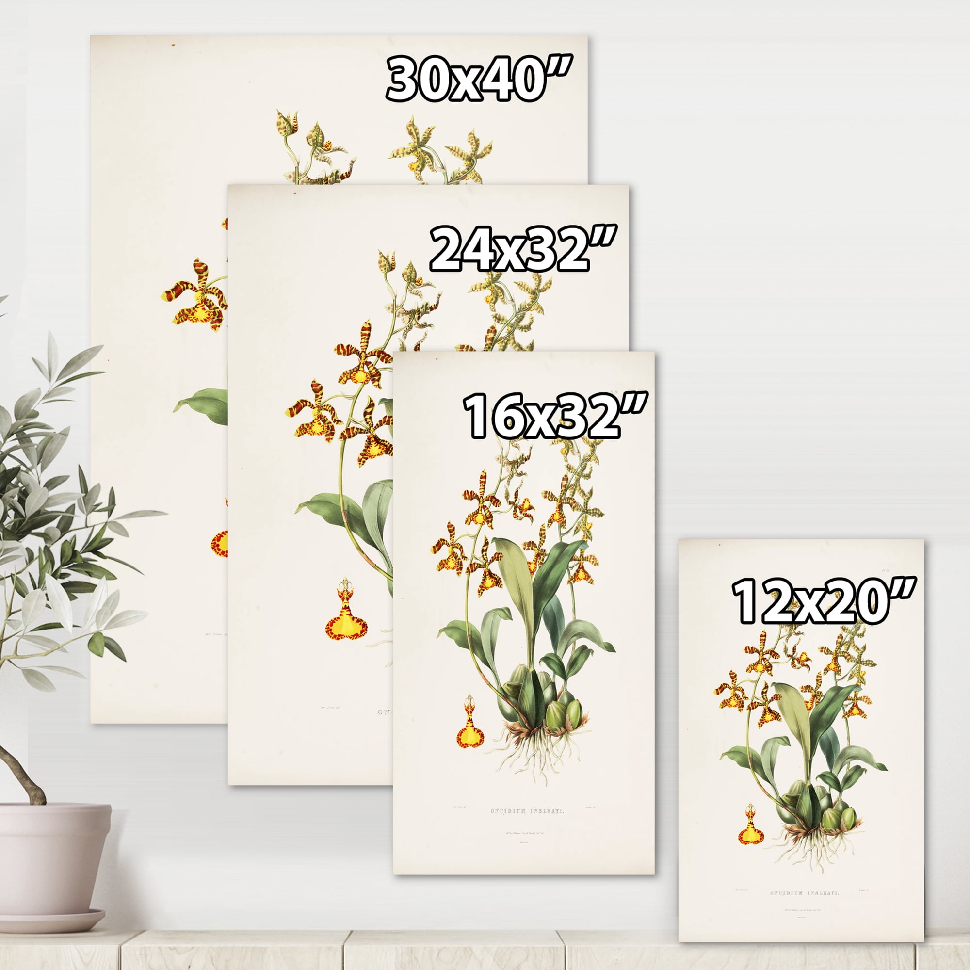 Designart ' Ancient Flower I ' Traditional Canvas Wall Art Print