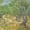 Olive Grove, variant on Elephant Stock Olive Trees 1889 Wall Art - Horizontal Multi Panel Canvas - Living Room Wall Decor - Abstract Multi Panel - Green And Yellow Decor By Vincent Van Gogh - 65" x 42"