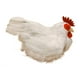 thumbnail image 2 of Adorno de gallina, modelo de artificial, accesorio didáctico, figura de simulación de pollo para el hogar, tienda, fiesta de Pascua en el patio., 2 of 8