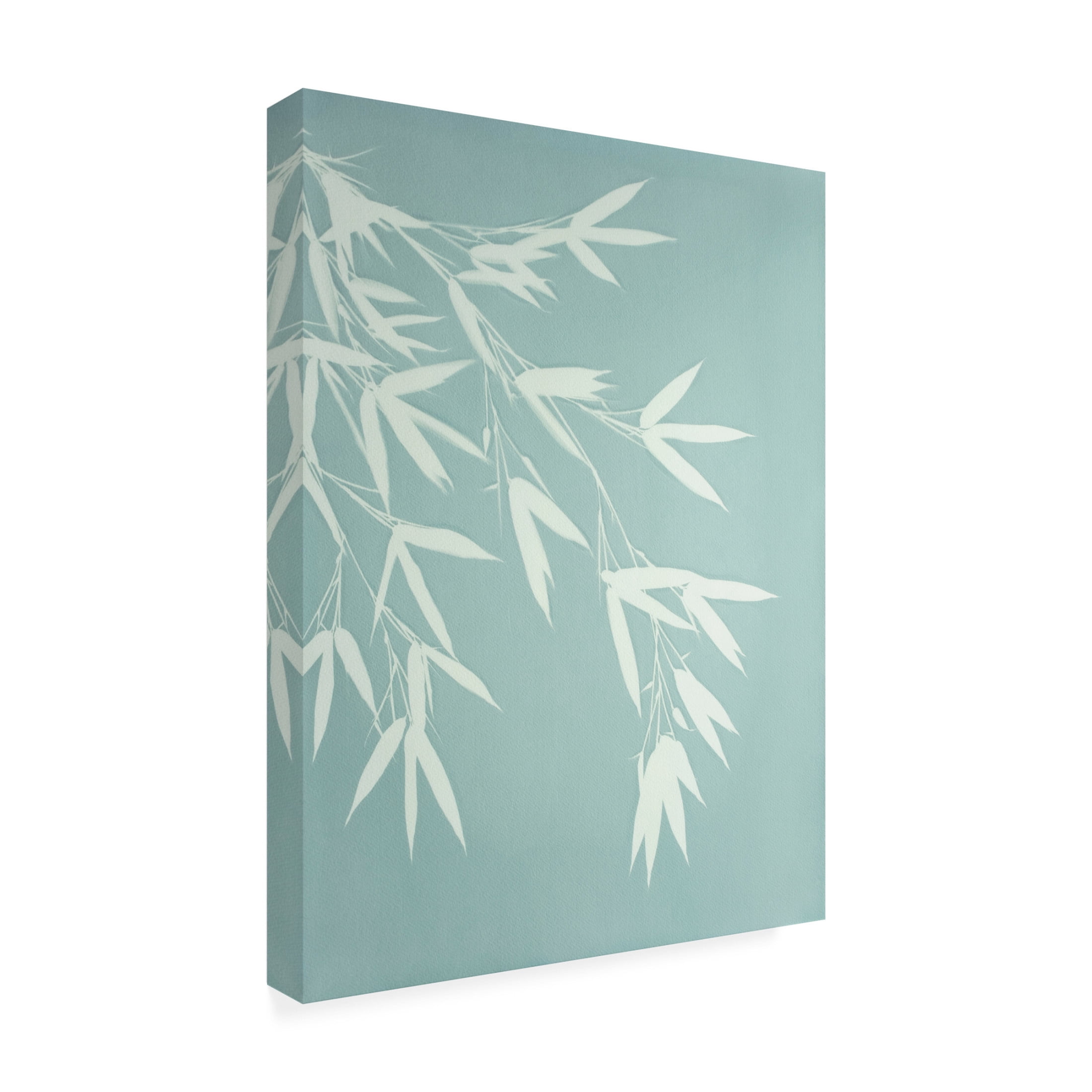 Canvas Wall Art - Christine So 'Celadon Bamboo' Wall Art for Living Room, Bedroom, or Office Décor by Trademark Fine Art - 24 x 32 Inches