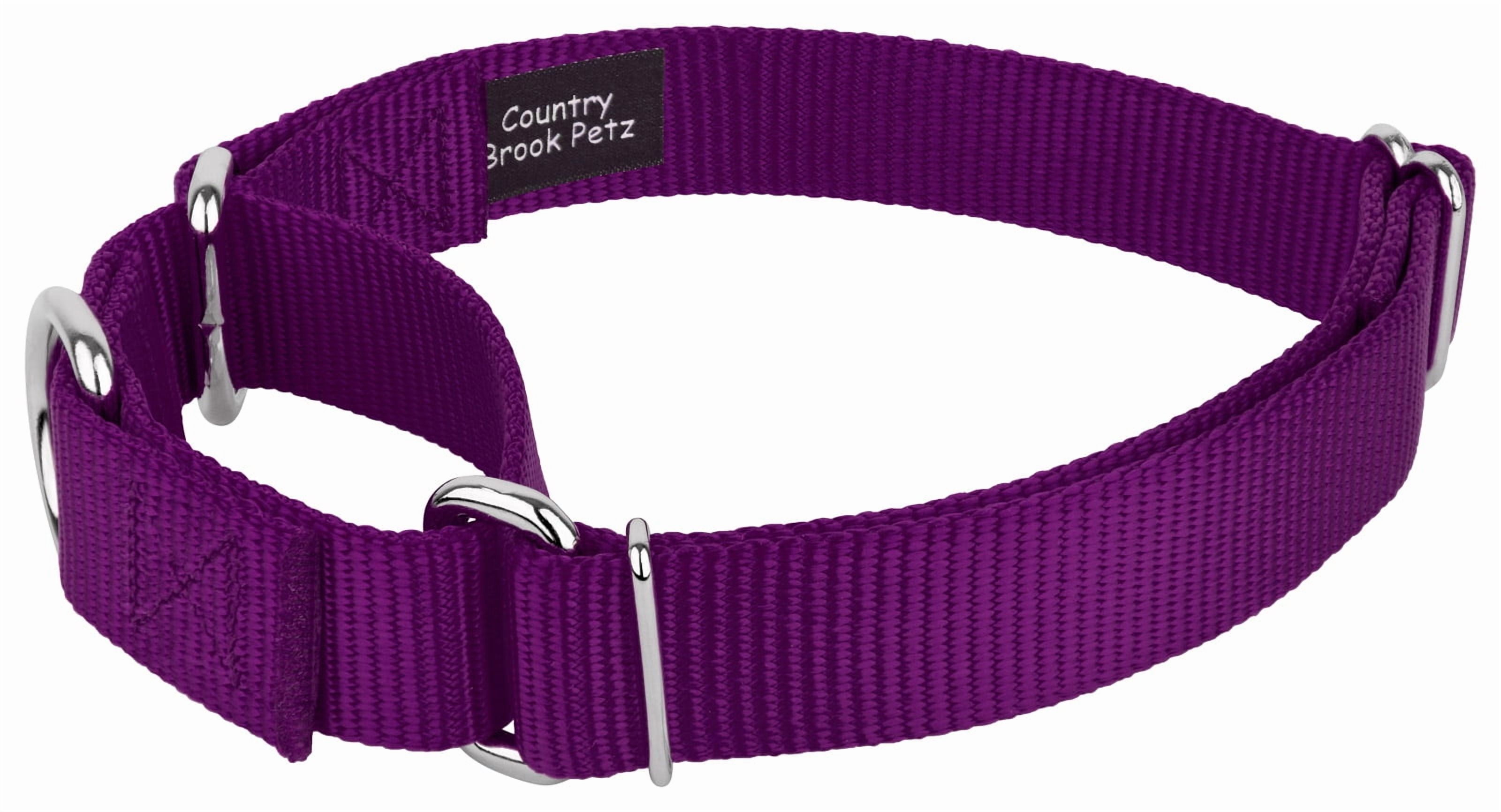 Country Brook Petz® Martingale Nylon Dog Collar & Double Handle Leash - Purple - Small
