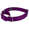thumbnail image 3 of Country Brook Petz® Martingale Nylon Dog Collar & Double Handle Leash - Purple - Large, 3 of 7