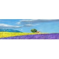 thumbnail image 2 of Germani, Massimo 32x14 White Modern Wood Framed Museum Art Print Titled - Campi di lavanda, 2 of 4