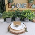 thumbnail image 3 of Set of 3 Small Potted Plants Artificial Euc Rosemary Boxwood Plants in Black and White Geometric Pots for Table Centerpiece Kitchen Counter Windowsill Indoor Outdoor Garden Greens Decor, 3 of 5