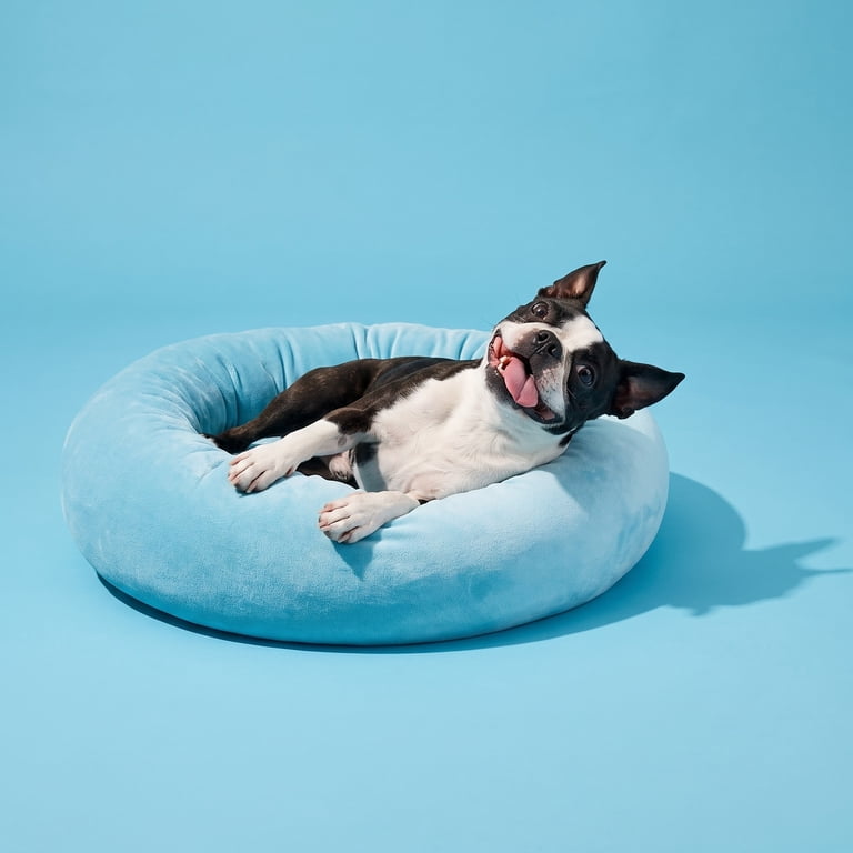 Vibrant Life Small Squishy Cuddler Pet Bed, Blue, 17" photo 3