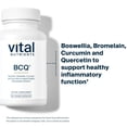 thumbnail image 3 of Vital Nutrients BCQ | Vegan Boswellia, Bromelain, Curcumin & Quercetin Supplement | Joint Support Supplement | Supports Sinus & Digestive Health | Gluten, Dairy, Soy Free | 60 Capsules, 3 of 6