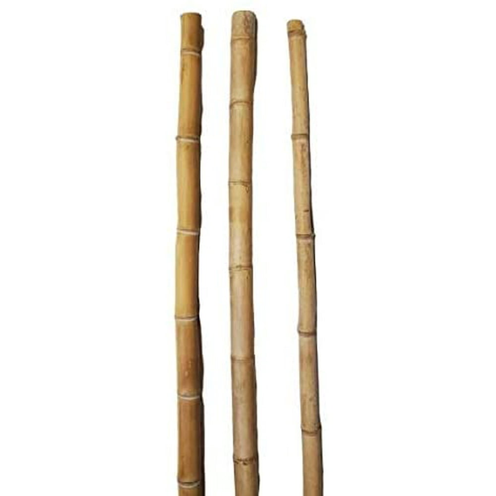 Thick Natural Bamboo Poles About 6 Feet Tall 1.5 Inch Diameter Pack of 3 (Natural Yellow