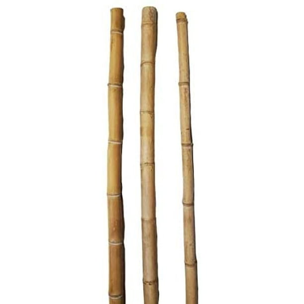 Thick Natural Bamboo Poles About 6 Feet Tall 1.5 Inch Diameter Pack