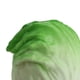 thumbnail image 3 of Verduras Artificiales Sunnimix Modelo de Repollo Juguetes Accesorios de Fotografía Accesorio de cocina de Plástico Repollo verde, 3 of 8
