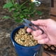 thumbnail image 5 of Tijeras de podar para bonsái, mini tijeras para bonsái, cortadores de jardín pequeños para brotes y hojas, 5 of 8