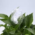 thumbnail image 2 of M Buder Dispositivo de Riego Automático para Plantas de Interior Vidrio Transparente Forma de Búho 28 cm / 11 inches, 2 of 8