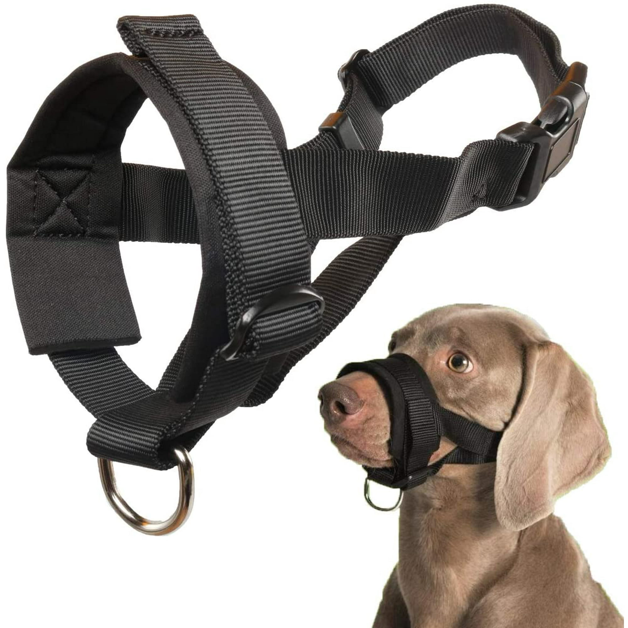 A Muzzle For Dogs Eating Poop