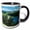 Black/White, variant on 3drose, Austria, Schloss Fuschl Castle, Salzkammergut-eu03 Rer0012 - Ric Ergenbright, 11oz Two-tone Green Mug