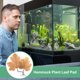 thumbnail image 5 of Uxcell 2-Pack Betta Fish Leaf Pad, Hammock Plant Leaf Pad, Cama de Descanso para Peces para Decoraciones de Tanques de Peces [Amarillo, Forma de Hojas de Uva], 5 of 7