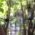 thumbnail image 3 of Telaraña Artificial para decoración de Halloween, telaraña de algodón, accesorios de fiesta, Casa Encantada, telaraña, accesorios para el hogar, 3 of 4