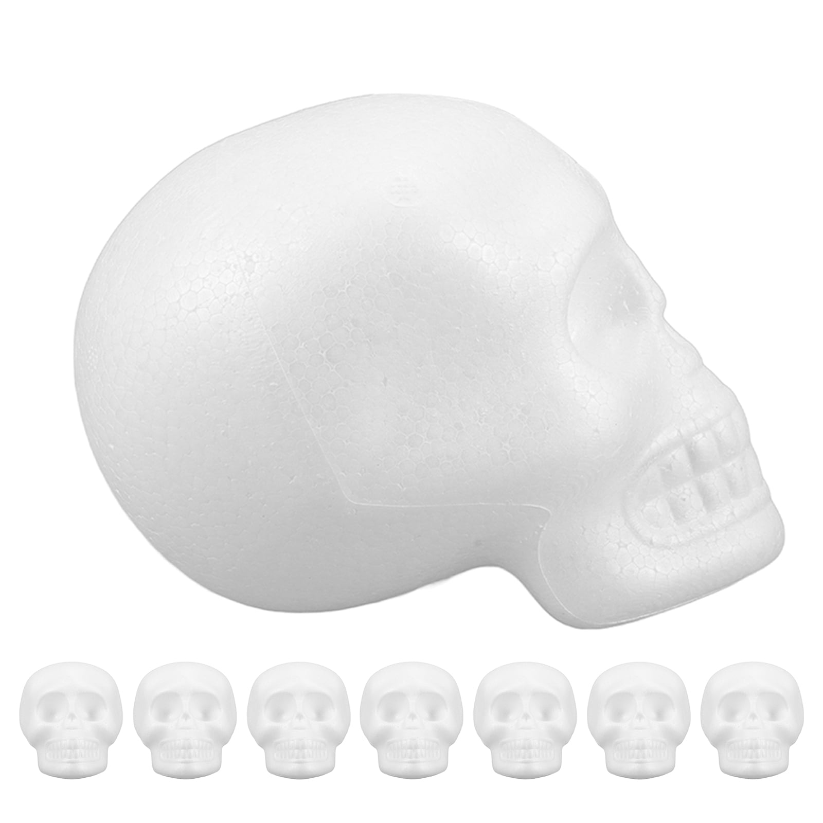ETHZZLE White Foam Skull Heads for DIY Crafts - Lightweight and Durable Polystyrene Skulls 8Pcs