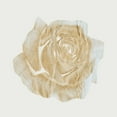thumbnail image 2 of Phillip, Jamie 12x12 White Modern Wood Framed Museum Art Print Titled - Copper Rose 3, 2 of 4