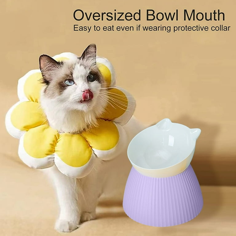 Busnos Elevated Ceramic Cat Food Bowl - 15° Tilt, Whisker Friendly, 6 Inch Wide (Dishwasher Safe)