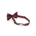 thumbnail image 3 of Men’s White Poppies Burgundy Cotton Boxed Banded Bow Tie, 3 of 3