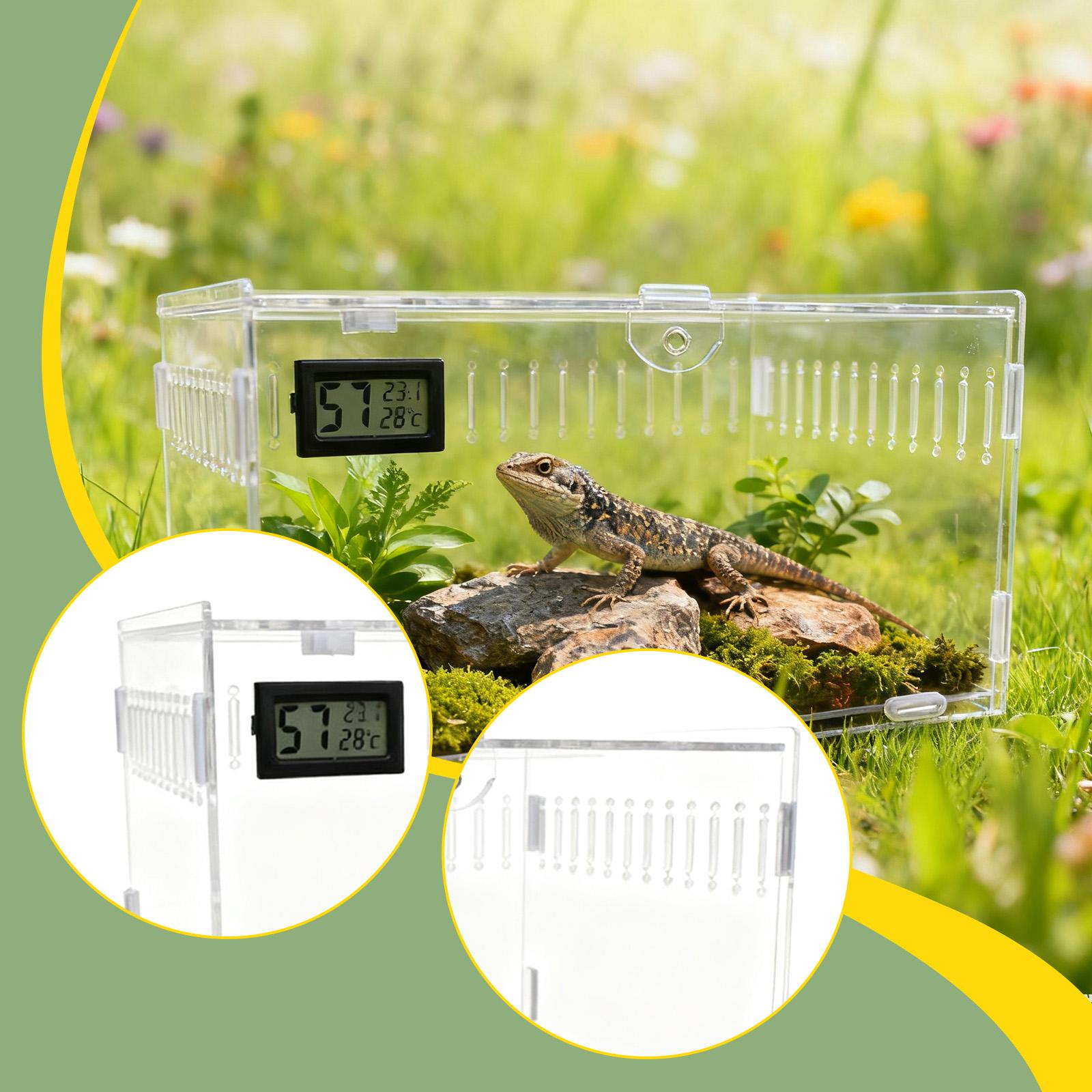 Reptile Tank Acrylic Spider Enclosure Terrarium with Easy Cleaning for Frogs Hermit Crabs Living Room