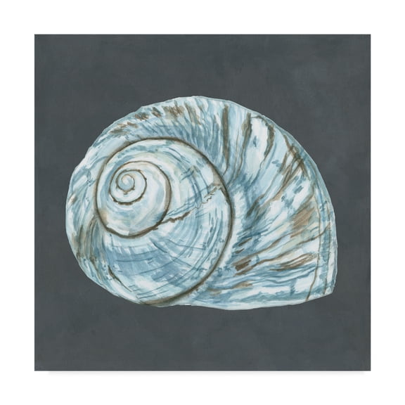 Trademark Fine Art 'Shell on Slate VIII' Canvas Art by Megan Meagher