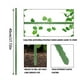 thumbnail image 3 of Injueey Soporte de plástico verde para plantas de vid, jaulas de jardín, combinación de estantes, soporte , lazos para estantes, accesorios Jardín y Patio, 3 of 6