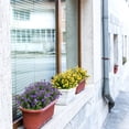 thumbnail image 6 of Zukuco 6PCS Artificial Flowers Fake Boxwood Shrubs UV Resistant No Fade Faux Greenery for Home Garden Hanging Planter Indoor Outdoor Porch Patio Office Wedding Decoration(Purple), 6 of 6