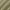 Khaki, variant on Sun Zero Sailor Indoor/Outdoor Uv Protectant Room Darkening Grommet Curtain Panel, 54"X84", White