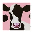 thumbnail image 4 of BANET Table Cover Square Rectangle Farm Animal Party Black White Square Table Covering for Kids Barnyard Theme Shower Birthday Party (Pink) white, 4 of 8