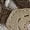 Beige, variant on CC-Los Women's Lightweight Hiking Shoes for Walking, Outdoor & Climbing Size 5.5-11