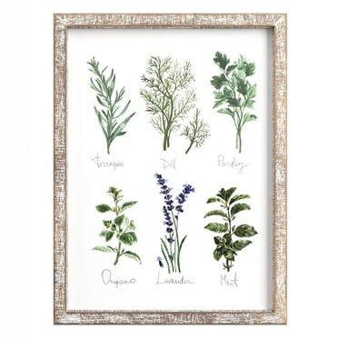 Barnyard Designs Kitchen Herbs and Spices Wall Art Decor Botanical Print Sign Rustic Country Farmhouse Wood Plaque Framed Home Wall Decor 12" x 16"