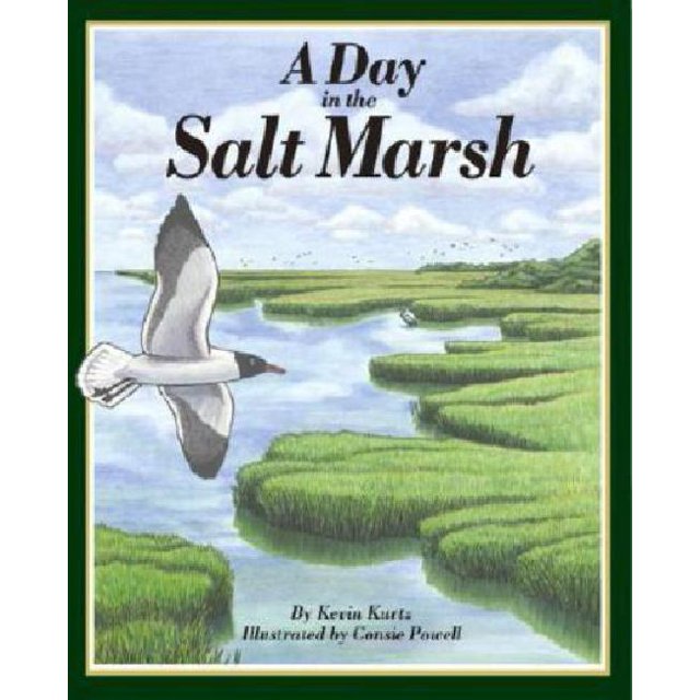 Jour dans le Sel Marsh, A