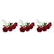 thumbnail image 4 of Decoraciones de Boda Naiovety 10 unids/set Flores Artificiales Color Vino Rojo, 4 of 6