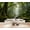 Color 3, variant on Amazon Rainforest Wallpaper Colorful Parrots Tropical Flora Peel and Stick Wall Murals 69"H x 96"W Removable PVC Wall Paper Self-Adhesive Wall Decor for Bedroom Living Room