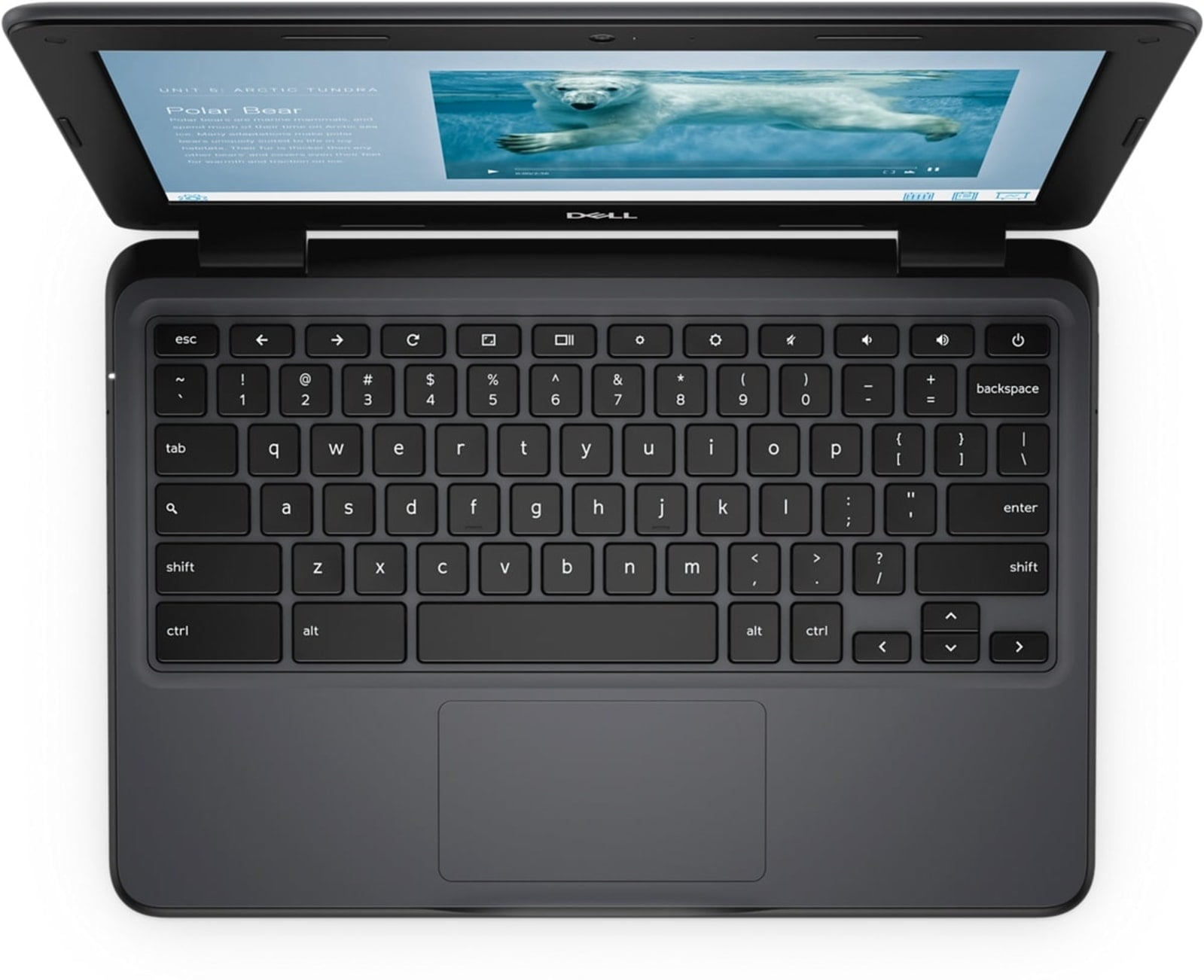 Restored Dell Chromebook 3100 Laptop (2019) 11.6" HD Core Celeron - 16GB SSD - 4GB RAM 2 Cores (Refurbished)