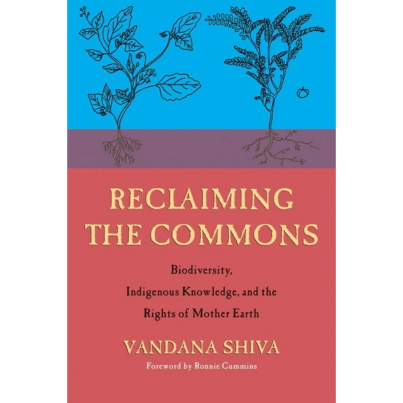 Reclaiming the Commons: Biodiversity, Traditional Knowledge, and the Rights of Mother Earth (Paperback)