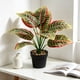 thumbnail image 1 of Artificial Plant in Pot Fake Tree Trunks Leaves Faux Potted for Indoor Outdoor Modern Decoration Home Office Living Room Bedroom Balcony Housewarming Gift, 1 of 6