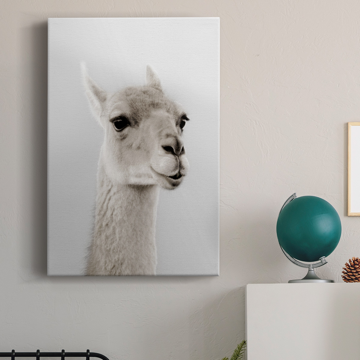 Soft Llama Premium Gallery Wrapped Canvas - Ready to Hang